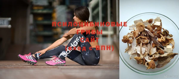 мяу мяу мука Иннополис