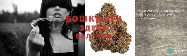 скорость Инсар