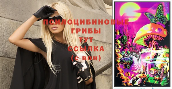 винт Инта