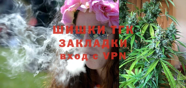 винт Инта