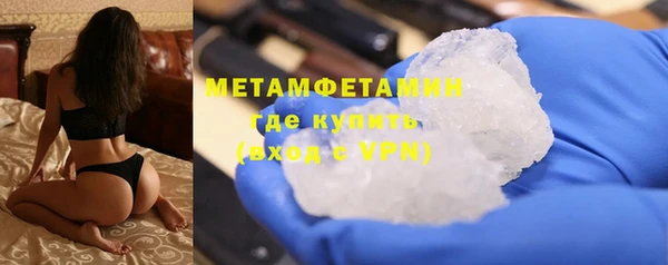 мяу мяу мука Иннополис