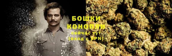 мяу мяу мука Иннополис