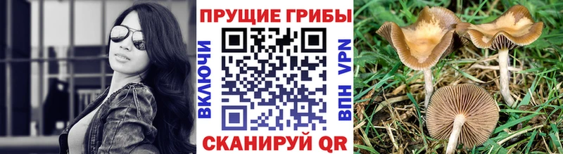 Галлюциногенные грибы GOLDEN TEACHER  Купить где  Лангепас 